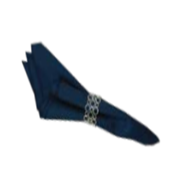 silver-napkin-ring-sec