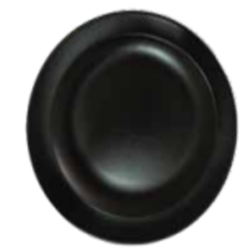 black-dinner-plate