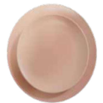 dusty-pink-dinner-plate