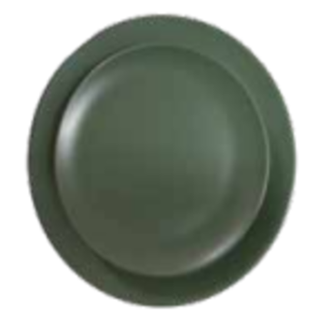 green-dinner-plate