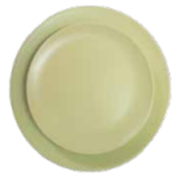 light-green-dinner-plate
