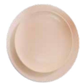 peach-dinner-plate